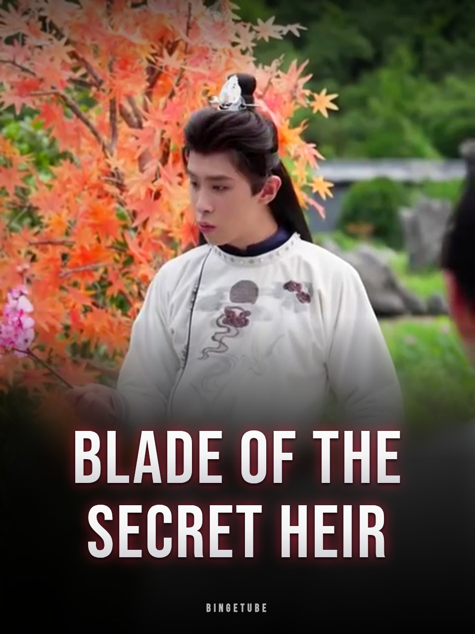 Blade of the Secret Heir