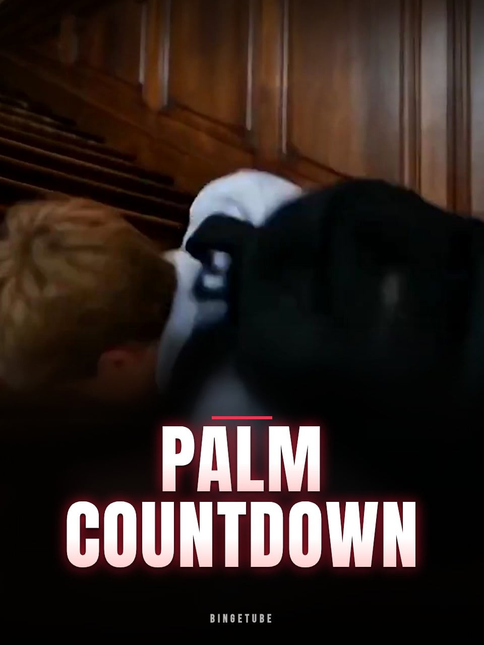Palm COUNTDOWN