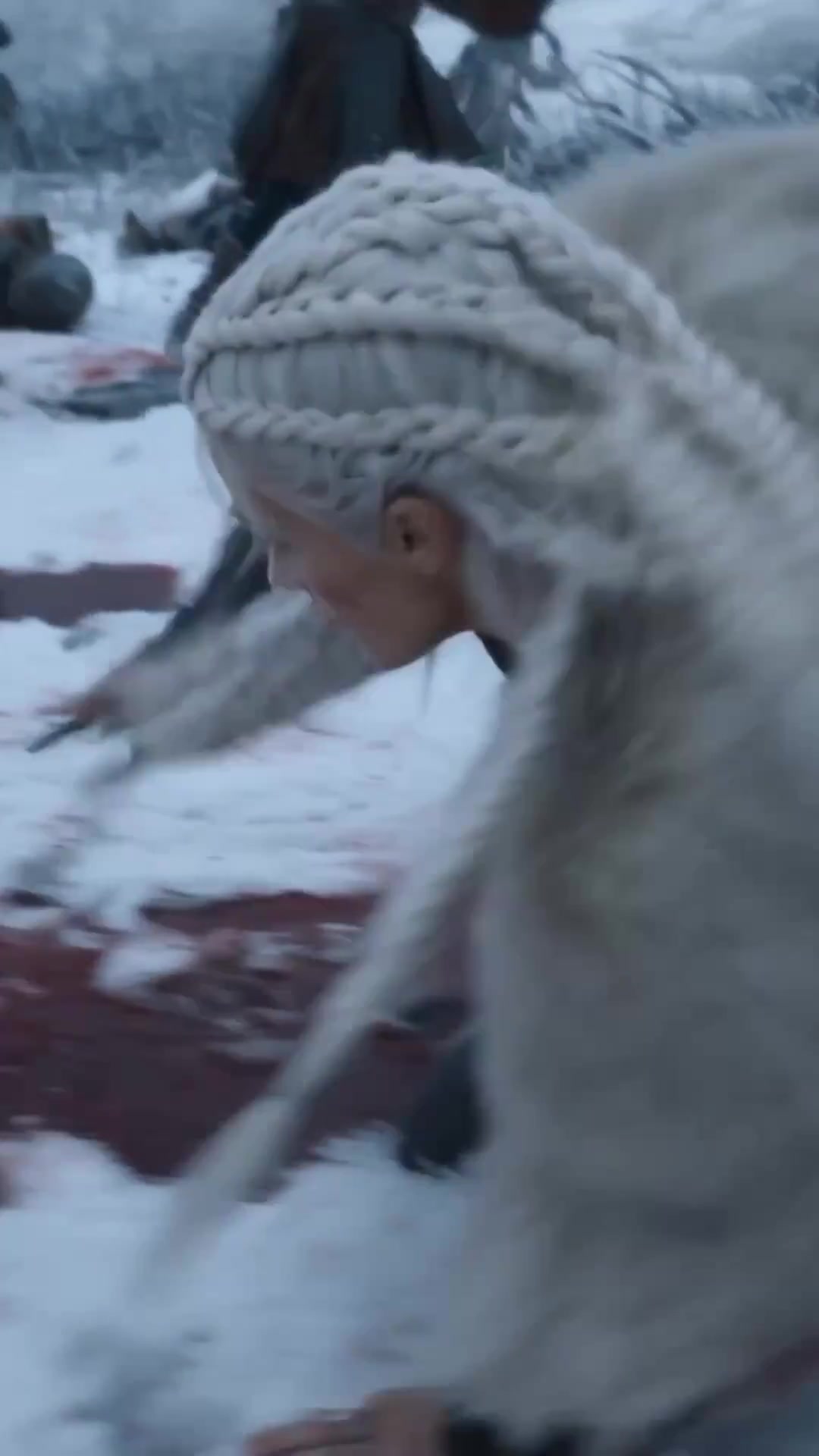 Viking Vengeance